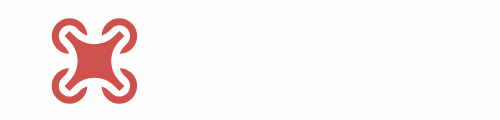 DropView Drone